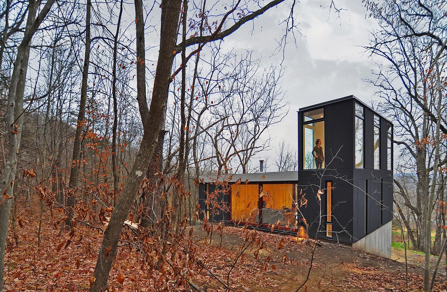 Gorgeous home reimagines classic cabin vertically