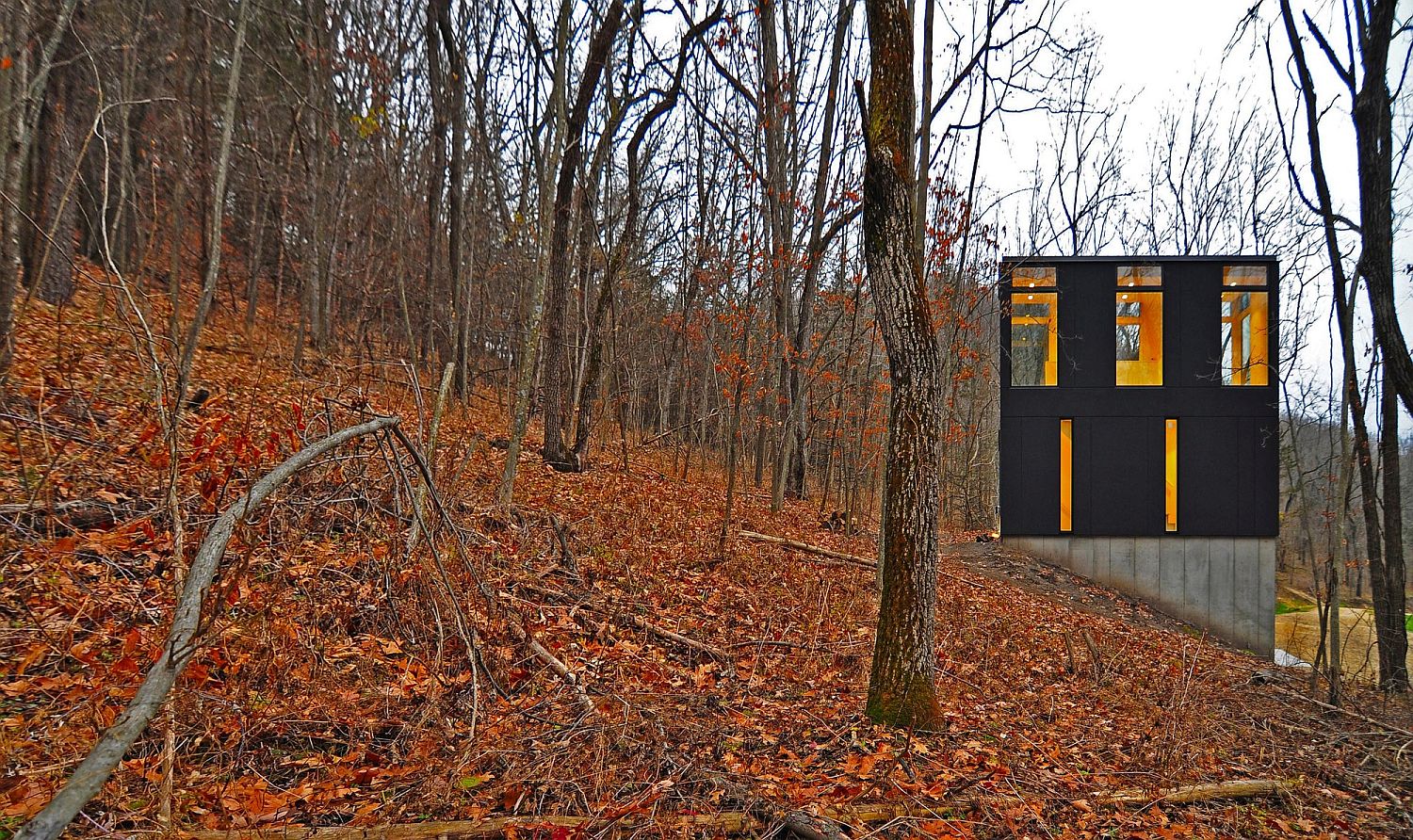 Woodsy landscape around the cabin changes with changing sseasons