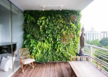 Living-wall-is-a-space-savvy-way-to-add-greenery-to-the-small-urban-gallery-217x155