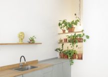 Small-and-refreshing-green-wall-in-the-corner-for-the-small-white-kitchen-217x155