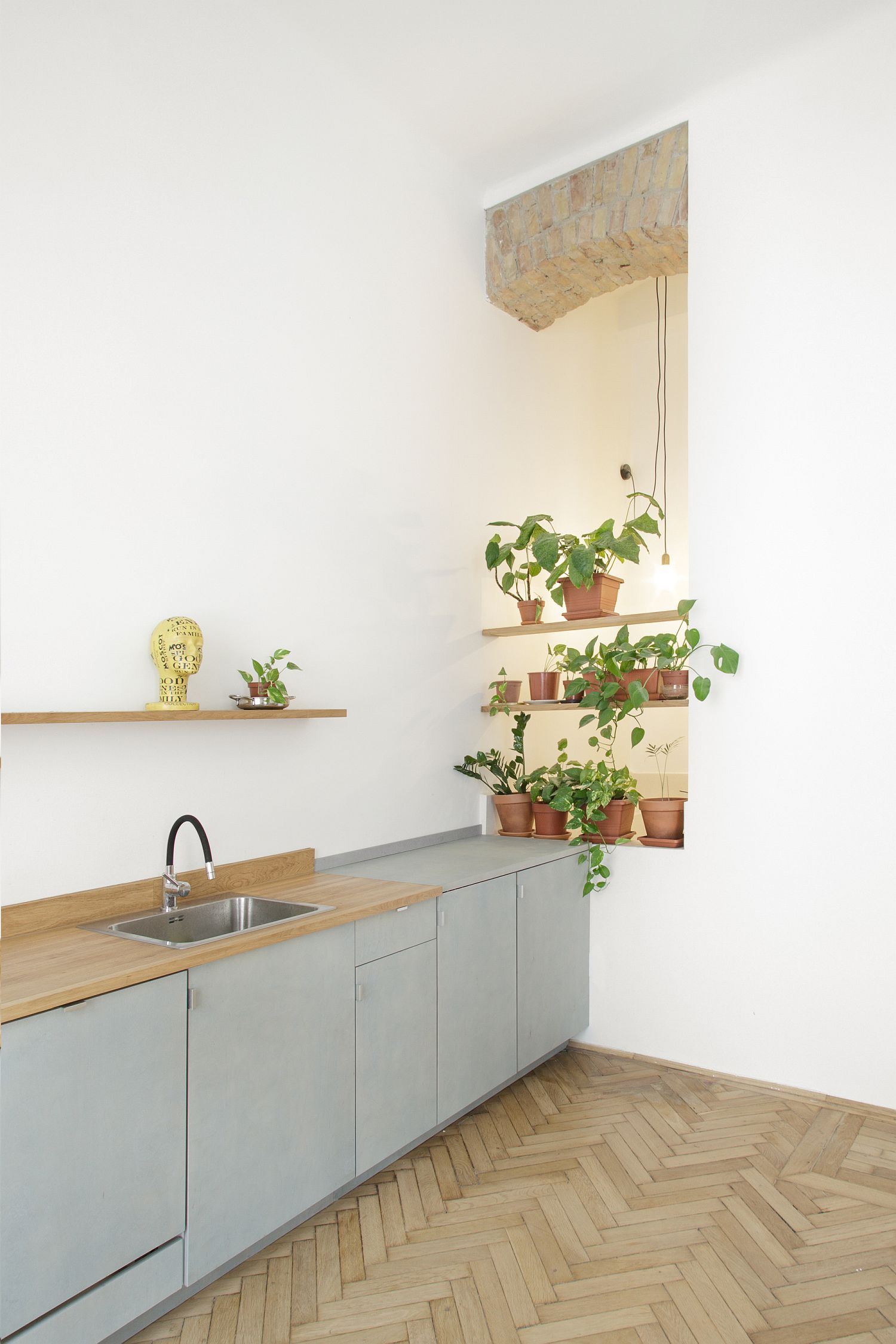 Small and refreshing green wall in the corner for the small white kitchen