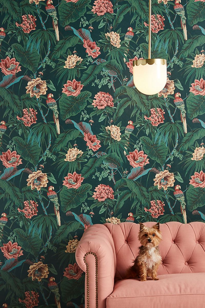 jungle pattern wallpaper featuring parrots and pink and yellow flowers