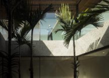 Central-courtyard-of-the-house-covered-in-greenery-217x155