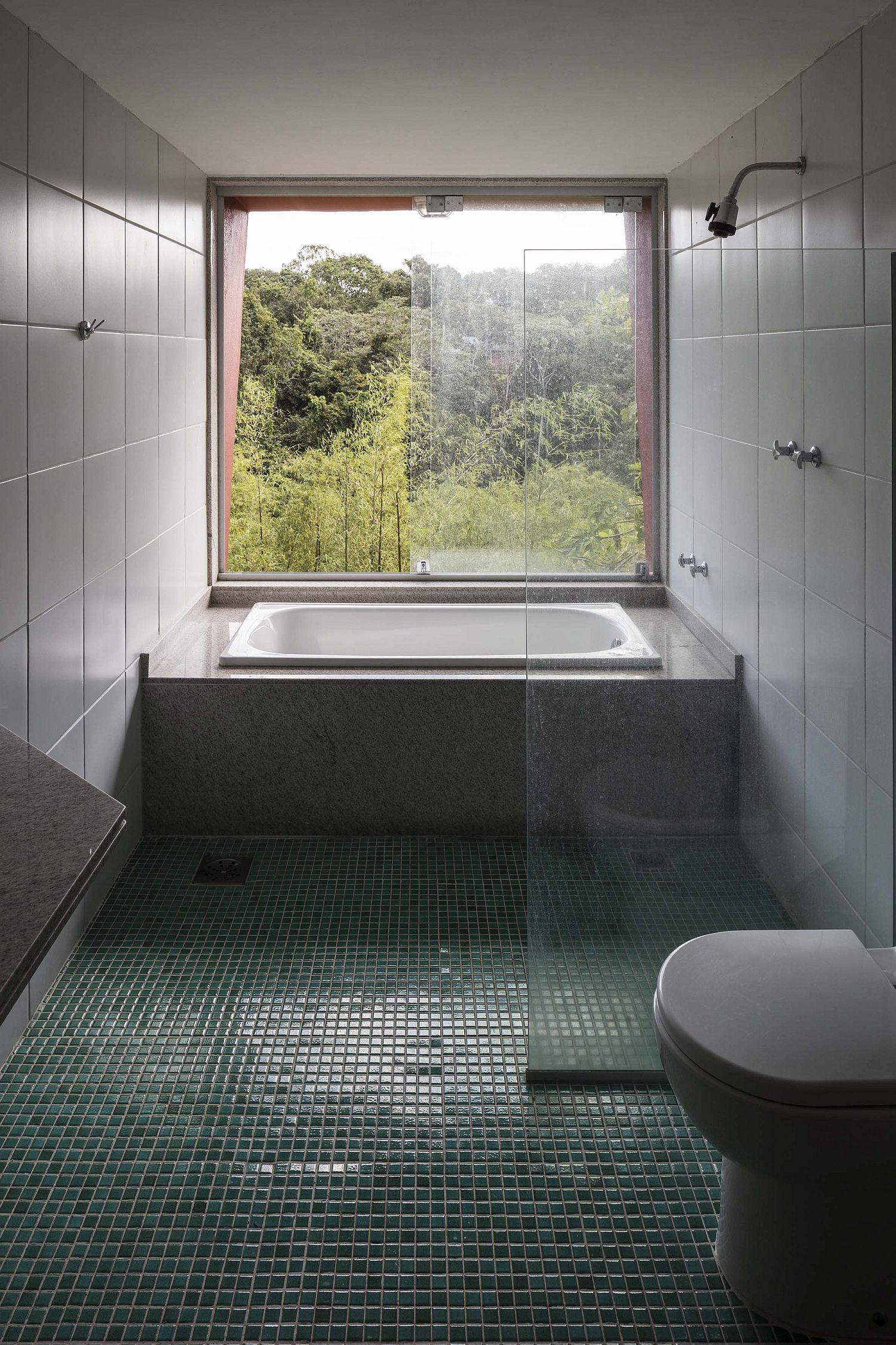 Contemporary bathroom of the house with forest view