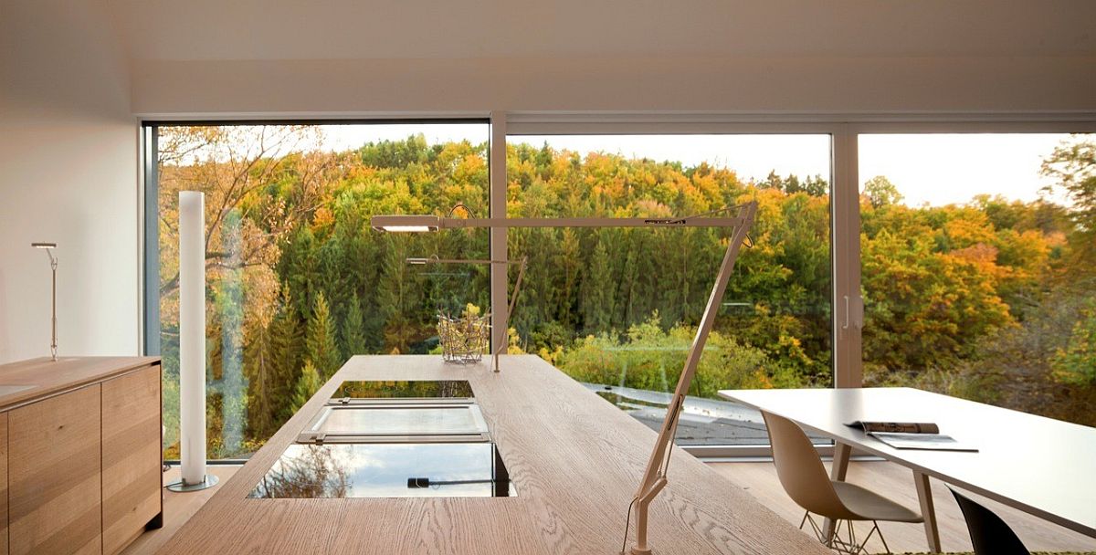 Gorgeous views of the forest from the Studio House