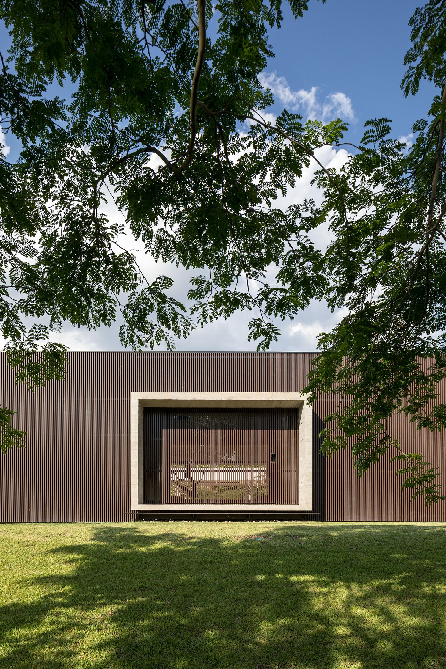 Greenery around the house becomes a part of the interior