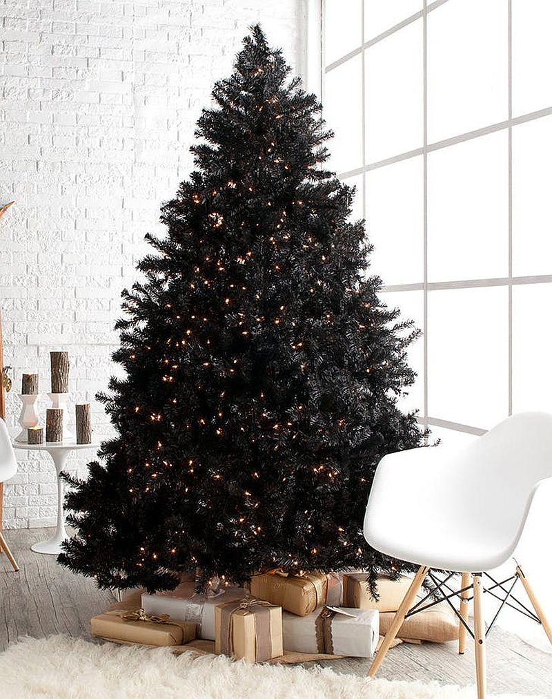Large black Christmas tree with lights.