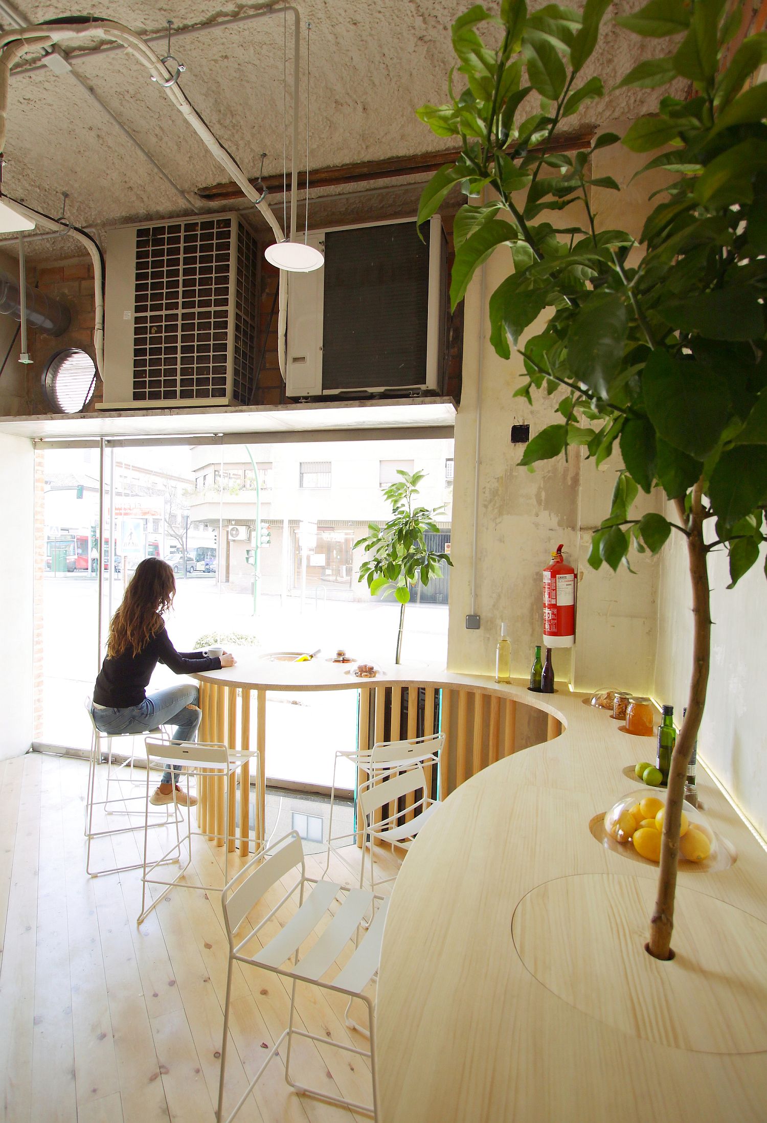 Indoor plants bring greenery to the restaurant