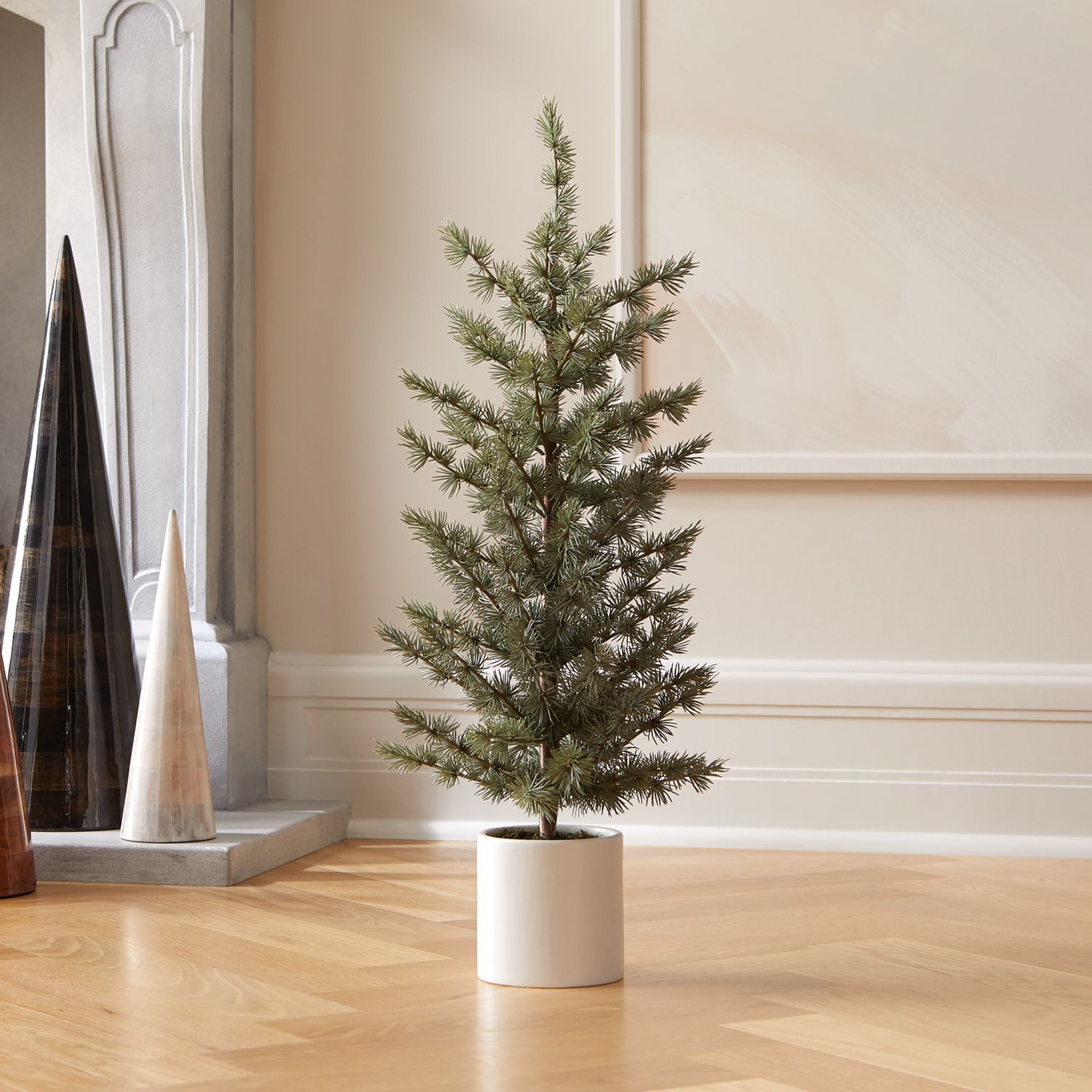 Potted pine tree from CB2