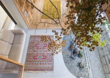 Stylish-dry-garden-inside-the-house-viewed-from-above-217x155