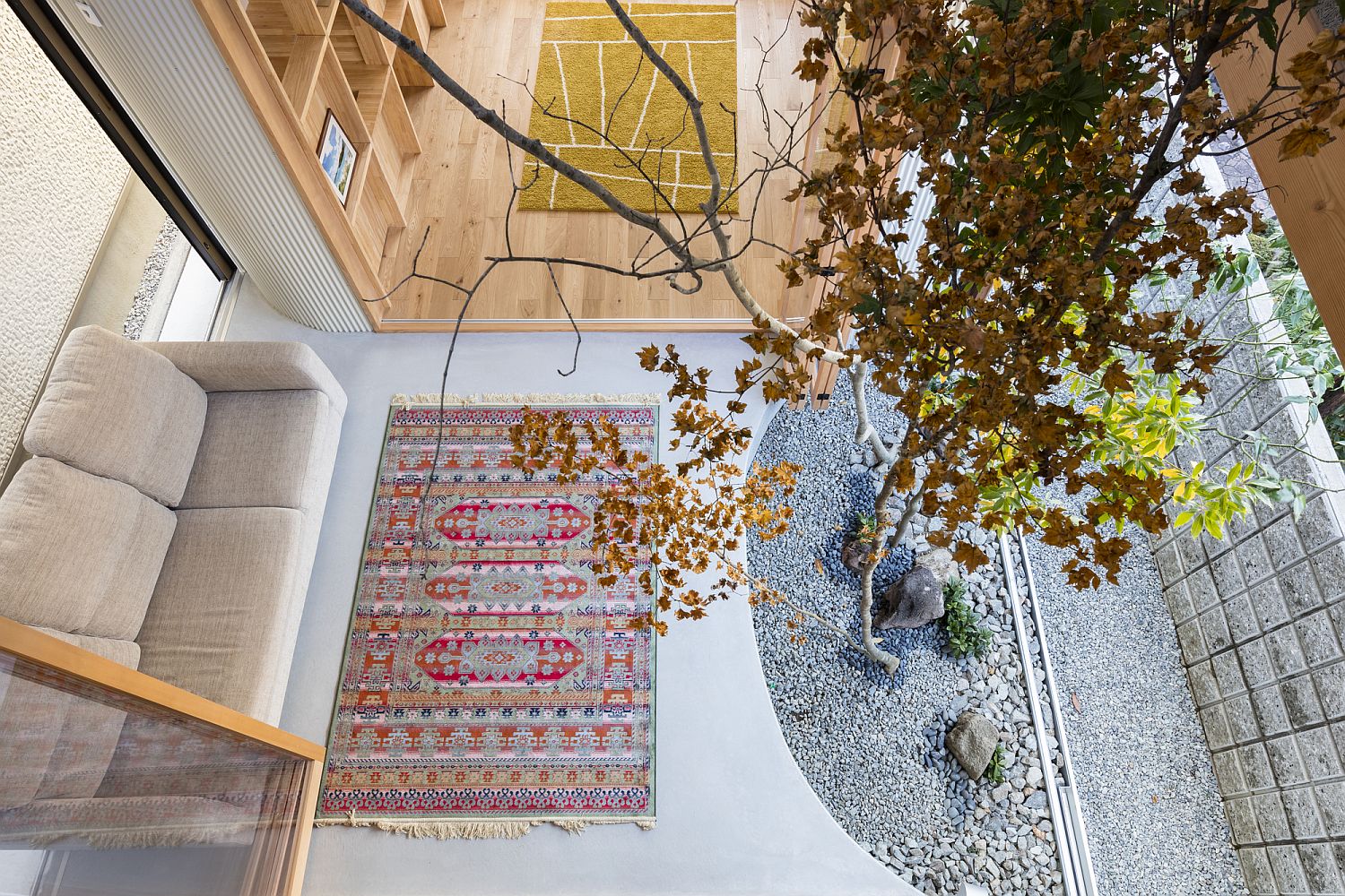 Stylish dry garden inside the house viewed from above