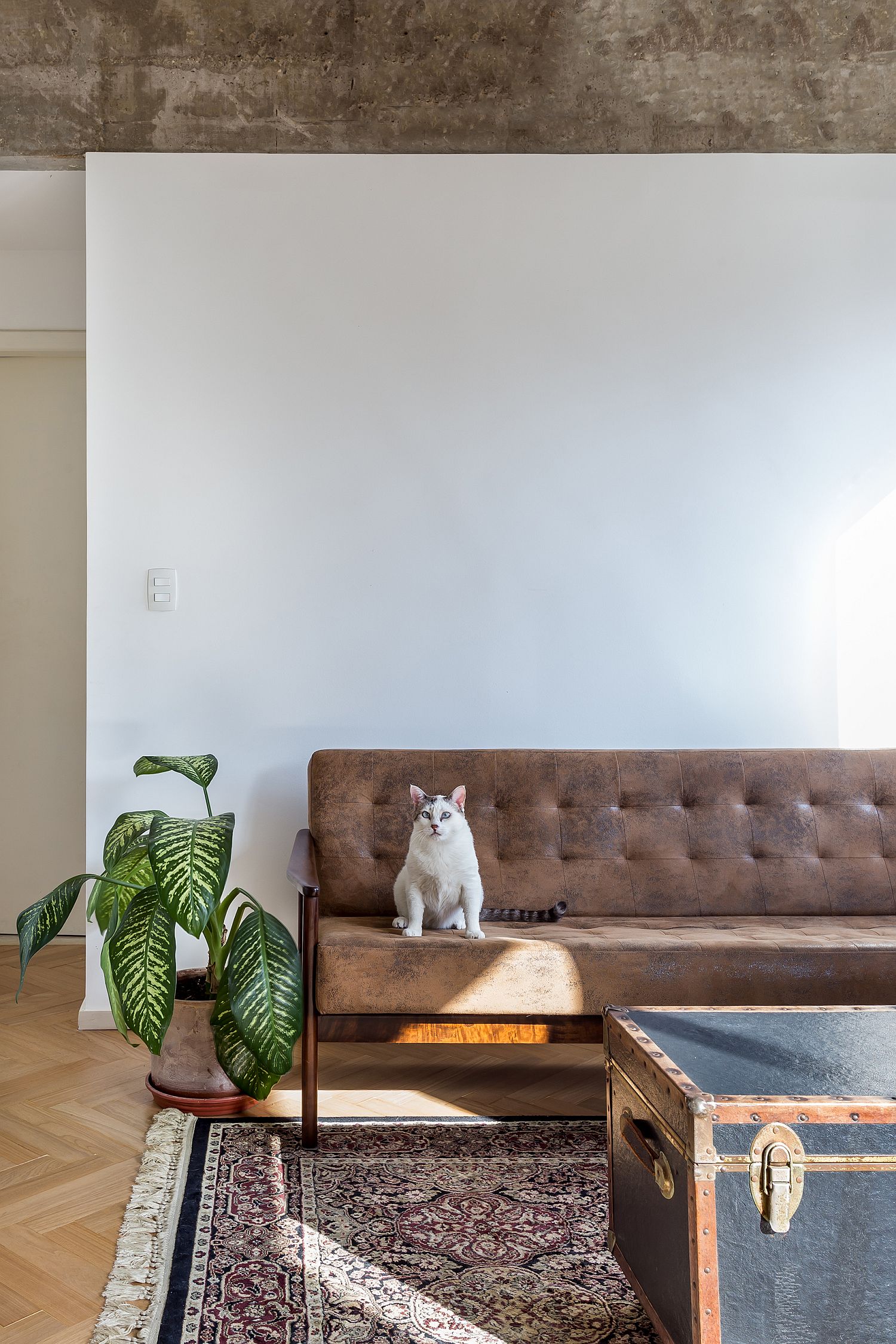 Vintage trunk turned into coffee table inside the modern Marchi Apartment