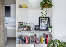 White-modern-shelf-with-smart-decorative-pieces-and-books-along-with-indoor-plants-used-to-decorate-the-living-room-217x155