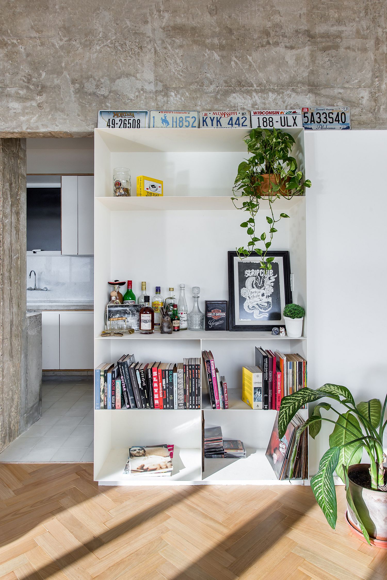 White-modern-shelf-with-smart-decorative-pieces-and-books-along-with-indoor-plants-used-to-decorate-the-living-room