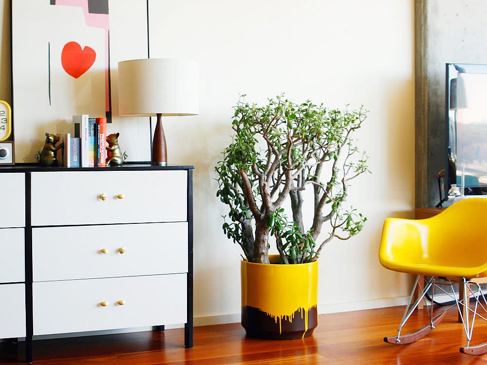 Colorful and striking way to add greenery to the eclectic modern bedroom