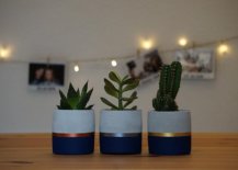 Gorgeous-small-concrete-planters-with-a-splash-of-blue-and-some-metallic-charm-38291-217x155