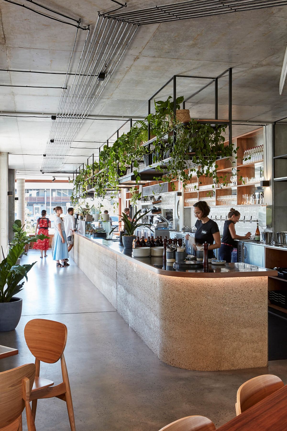 Greenery spread throughout the restaurant brings freshness and life to the restaurant