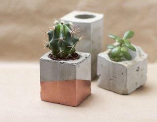 DIY Concrete Planters: Fabulous Projects that Bring Greenery Indoors