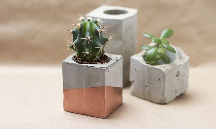 DIY Concrete Planters: Fabulous Projects that Bring Greenery Indoors