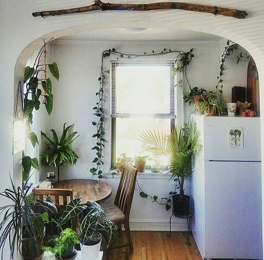 Even the smallest kitchen can be filled with greenery when done right!