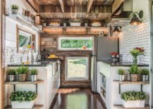 It-is-hard-to-miss-all-the-greenery-in-this-small-industrial-style-kitchen-18147-217x155