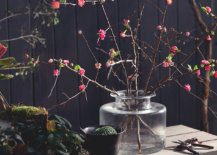 Quince-branches-in-salmon-28683-217x155