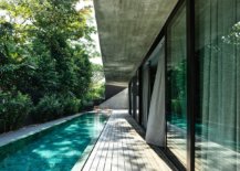 Wall-of-green-around-the-house-offers-natural-shade-and-privacy-43074-217x155