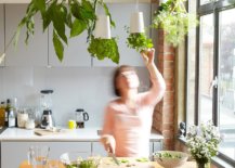 Boskke-Sky-Planters-can-turn-your-kitchen-herb-garden-upside-down-and-transform-the-kitchen-ceiling-forever-36765-217x155