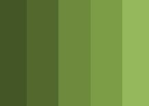 Different-shades-of-Olive-Green-for-your-home-to-choose-from-93836-217x155