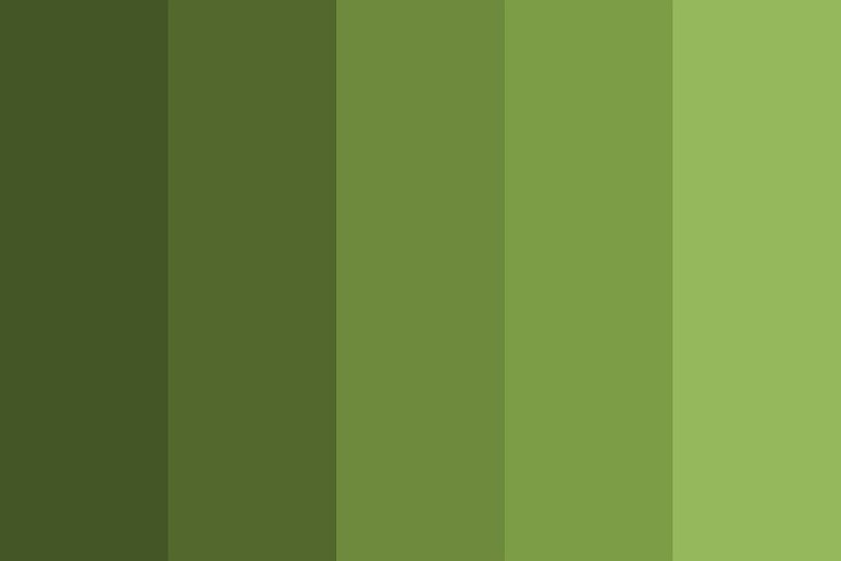 Color your Home How to Use Olive Green Inside your House Decorizer