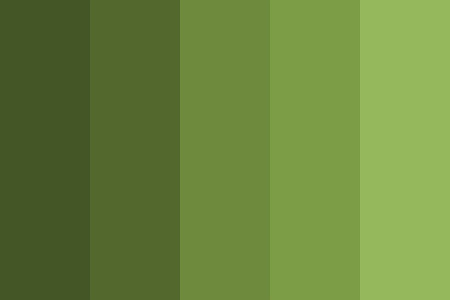 Different-shades-of-Olive-Green-for-your-home-to-choose-from-93836