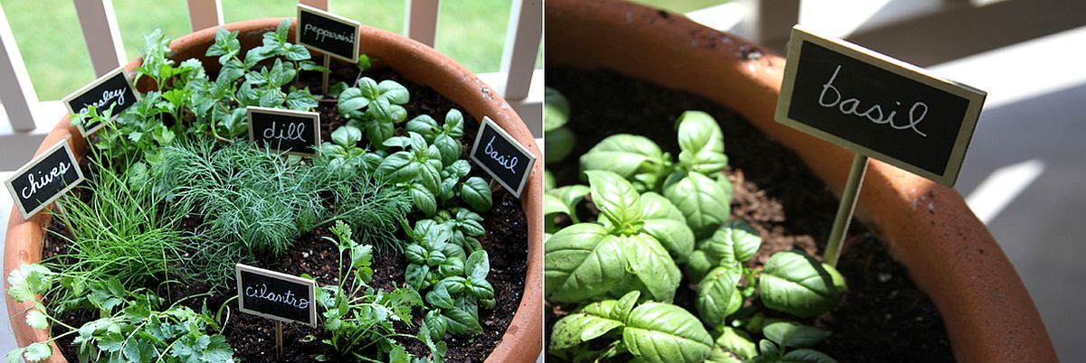 Herbs planted in a terracotta pot with signs for each one