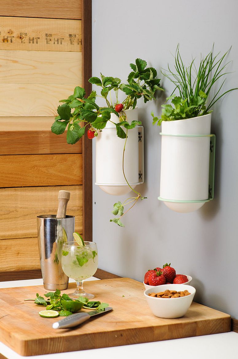 Small-wall-mounted-planters-are-great-in-tiny-kitchens-where-there-is-very-limited-space-to-work-with-88617