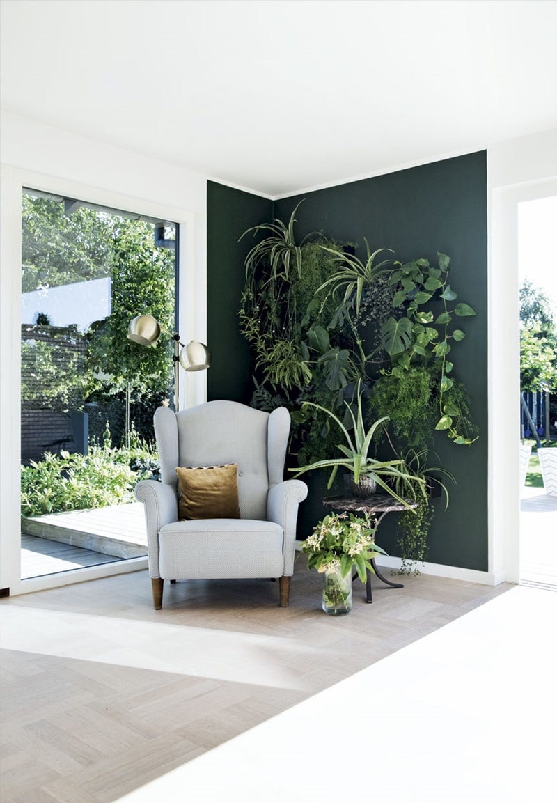 Statement wall with vertical garden greenery