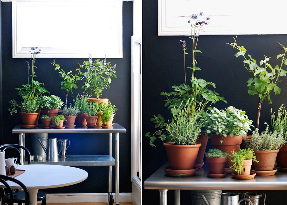 Turn the old bar cart into a perfect space for a herb garden along with a few terracotta pots this spring!