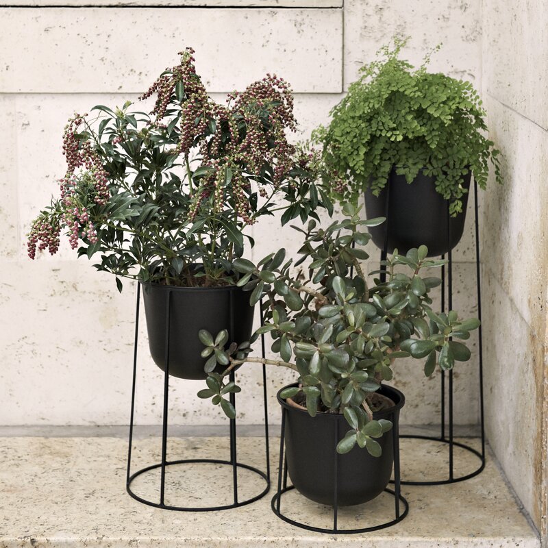 Black pedestal-style plant stand