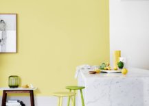 Create-your-own-combination-of-yellow-and-green-in-the-contemporary-kitchen-29844-217x155