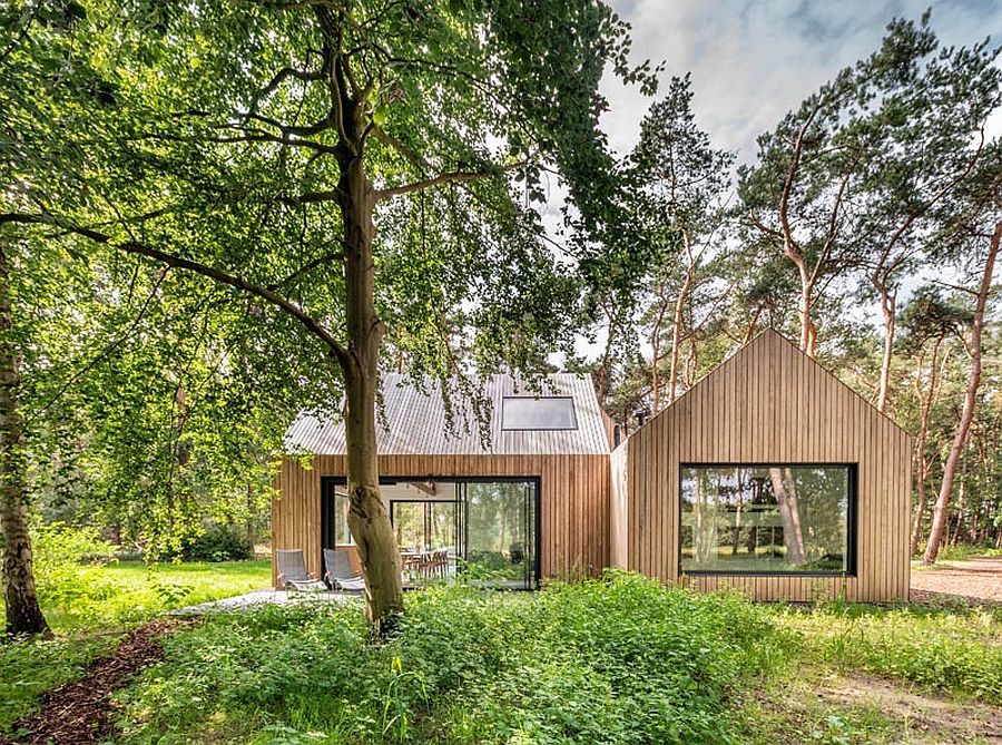 Gorgeous natural canopy around the cabin adds to the charm of the escape