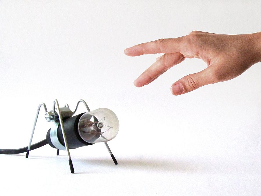 Try-out-a-pet-insect-that-also-illuminates-your-work-desk-76920