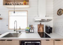 Ultra-small-kitchen-of-the-tiny-house-is-still-functional-enough-to-serve-a-couple-18549-217x155
