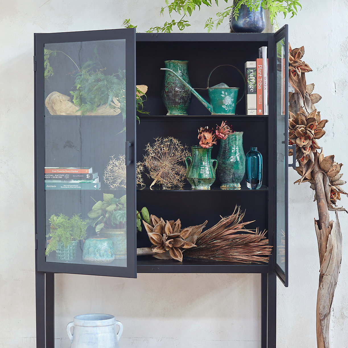 Display-cabinet-from-Terrain-87522