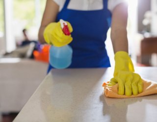 How to Keep Your Kitchen Pest-Free: Tips and Ideas