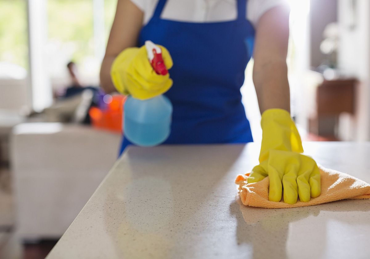 Keeping your kitchen clean is the first step to creating a pest-free environment