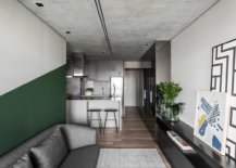 Burnt-cement-surfces-in-the-apartment-give-it-a-unique-appeal-while-green-brings-color-to-the-neutral-space-69055-217x155