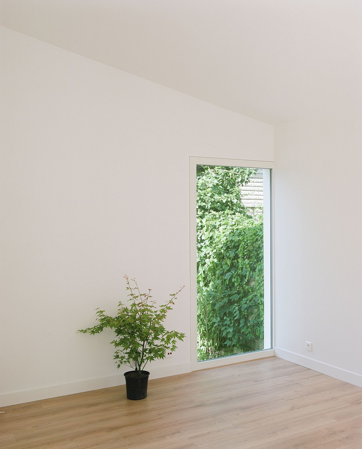 Clever placement of windows to bring natural light into the modern living room