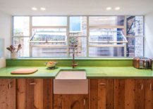 Custom-green-concrete-countertop-coupled-with-reclaimed-wood-cabinets-in-the-kitchen-78681-217x155