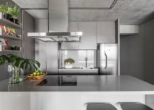 Metal-and-polished-gray-surfaces-shape-this-gorgeous-modern-kitchen-20217-217x155