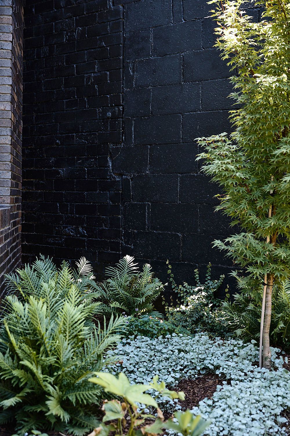 Natural landscape around the Ascot Vale House in Melbourne