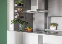 Using-indoor-plants-to-decorate-the-modern-kitchen-in-style-49405-217x155