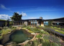 Reeds-and-plants-shape-a-natural-landscape-around-the-pool-area-and-the-house-while-filtering-the-water-naturally-58221-217x155